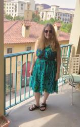 Clothing Inventory? And a Poshmark Dress