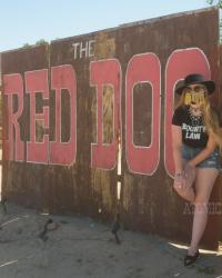 The Red Dog, the Saloon that Once Served Trigger right at the Bar