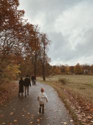 Höstens härligaste 🌧️