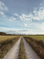 Vi åkte till Gotland för att musta och pynta för höst