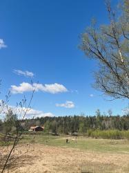 Mitt röriga kylskåp, bokomslaget och ett cykelfynd