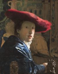 Tim's Vermeer