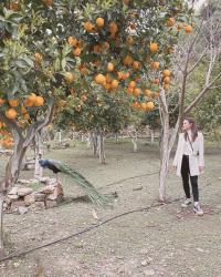 Mi visita al Parque Botánico y los Jardines de Creta 