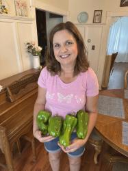 A Late Summer Vegetable Garden Tour