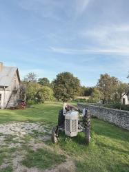 Torsdag och fredag på Gotland med alla äpplena