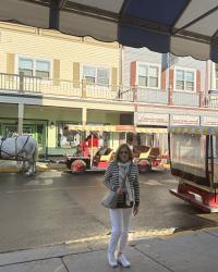 The Amazing Historic Homes and Buildings on Mackinac Island