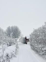 Mellandagarna: massa snö och en ny blus