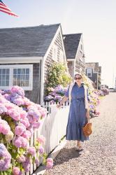 BLUE & WHITE SHIRTDRESS