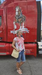 The Budweiser Clydesdales Come to Town