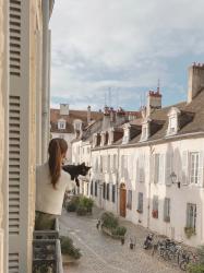 3 alojamientos pet-friendly en Francia con mucho encanto