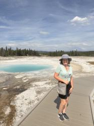 The Grand Prismatic Spring in Yellowstone and a Buffalo Traffic Jam