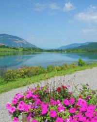 Découvrez le Bugey Sud : Guide des Meilleures Activités, Producteurs Locaux et Gîtes avec Spa