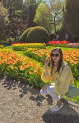 FESTIWAL TULIPANÓW W OGRODZIE BOTANICZNYM