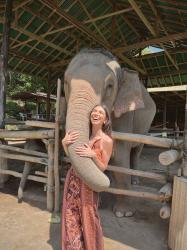 El elefante que llevo en la piel