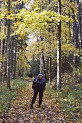 Złota polska Jura, Grodzisko Pańskie