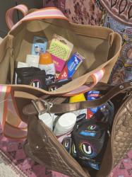 It's In The Bag 2025: What's In My Bags For Donation To Share The Dignity
