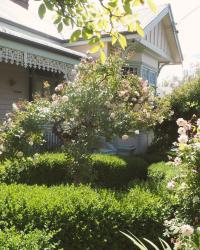 Painting with Flowers