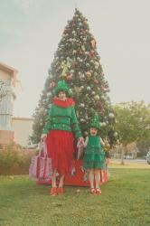 Just a couple of Christmas Trees