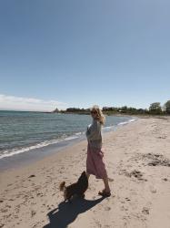 Mot Gotland och helgtips